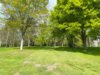A wide mown path running into distance has been made through a woodland glade with trees rich in green leaves on either side clipart