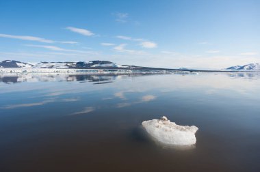Kuzey Arktik 'in durgun sularında eriyen deniz buzlarının geniş açılı bir görüntüsü var. Arka planda dağlar ve tundralar. İklim krizi ve çöküşü. İklim acil durumu.