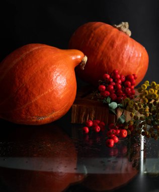 Siyah arka planda bal kabakları. sezon, sonbahar