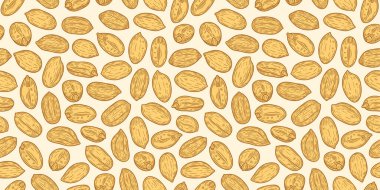 Vector peanut seeds seamless pattern or background