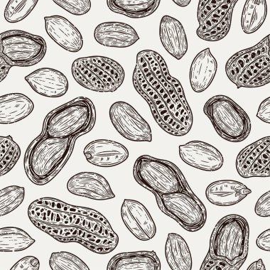 Vector peanuts hand-drawn pattern, peanut seeds and shells illustrations