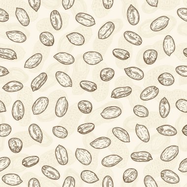 Vector peanut seeds seamless pattern or background
