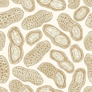 Vector peanuts hand-drawn pattern seamless pattern or background