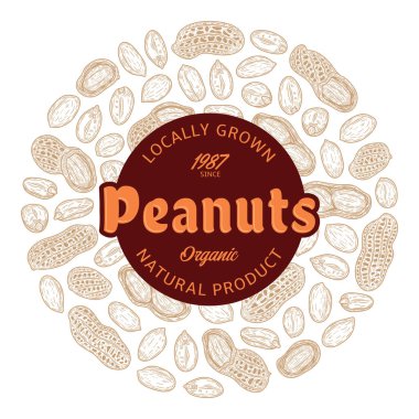 Vector peanuts label, peanut seeds and shells hand-drawn vector icons