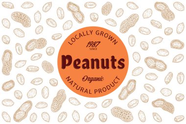 Vector peanuts label, peanut seeds and shells hand-drawn vector icons
