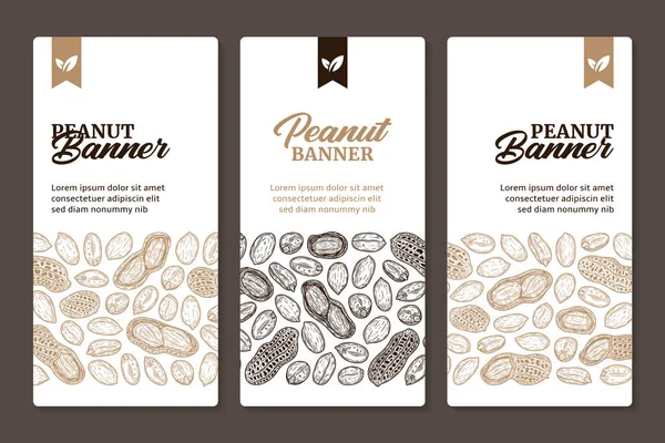 Peanut Vertical Banner Design Concept Hand Drawn Peanut Seeds Shells Vektör Grafikler
