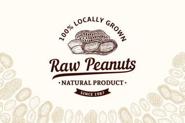 Vector fıstık vintage logosu. Fıstık çekirdeği ve kabuk çizimi