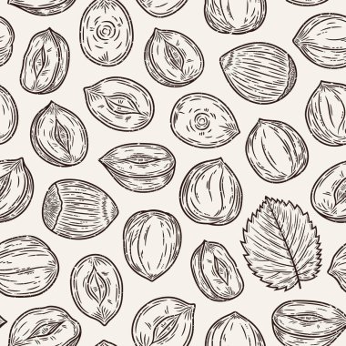Taşıyıcı fındık elle çizilmiş, dikişsiz kalıp ya da arka plan. Fındık çekirdekleri ve kabukları