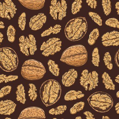 Vektör ceviz rengi, dikişsiz desen ya da arka plan. Ceviz çekirdekleri ve kabukları