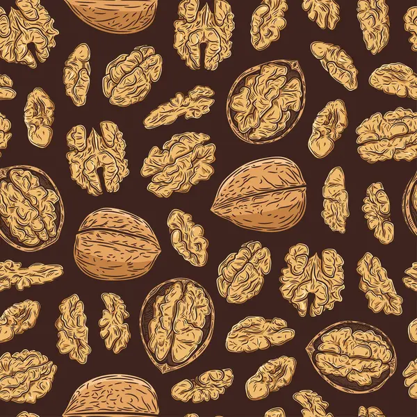 Vektör ceviz rengi, dikişsiz desen ya da arka plan. Ceviz çekirdekleri ve kabukları