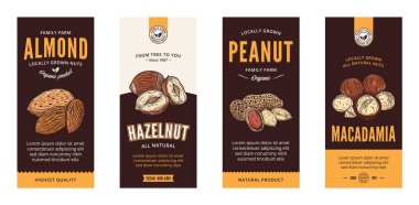 Modern tarzda çeşitli fındık etiketlerini yönlendir. Vektör fındık çizimleri