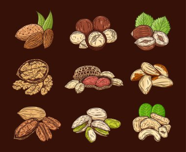 Koyu arkaplanda çeşitli renkli fındıklar var. Ceviz çekirdekleri ve kabukları