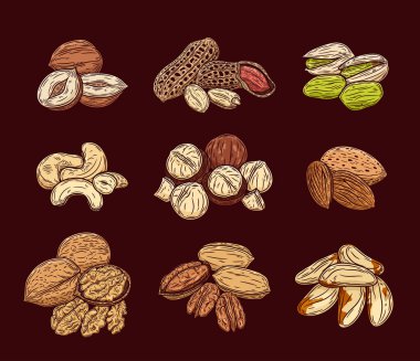 Koyu arkaplanda çeşitli renkli fındıklar var. Ceviz çekirdekleri ve kabukları