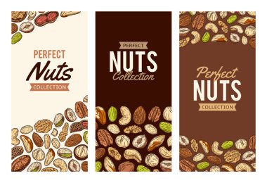 Karışık fındık renkli afiş şablonları, fındıklı arka planlar, elle çizilmiş yemek çizimleri ve ikonlar