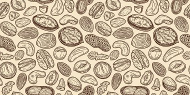 Farklı tipte fındık taşıyıcıları. Kusursuz kalıp ya da arka plan. Ceviz çekirdekleri ve ceviz kabuğu çizimi