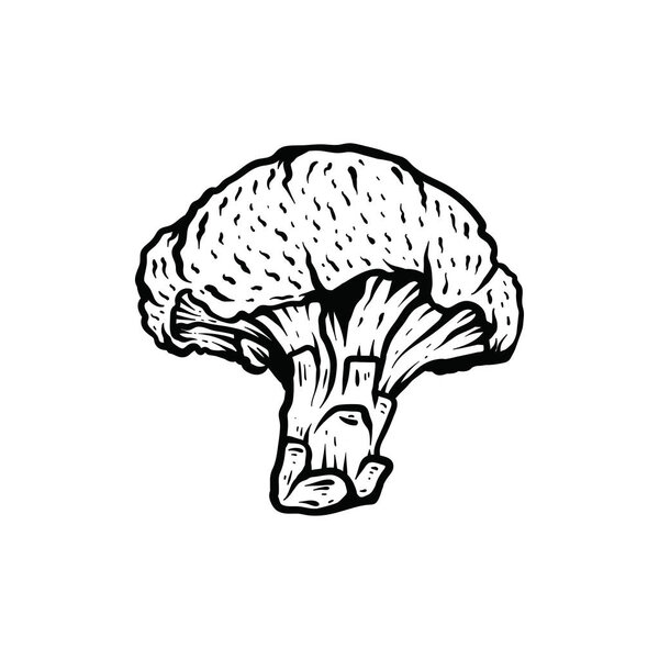 broccoli art style sketch classic vintage design illustration