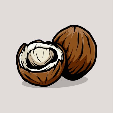 iki hindistan cevizi çizgisi çizimi klasik klasik klasik tasarım çizimi