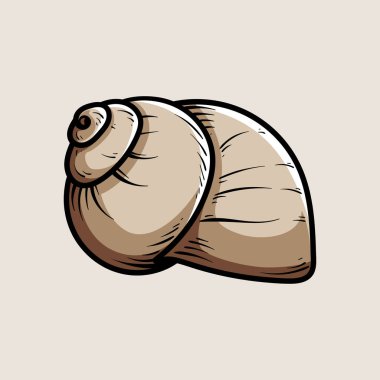 Salyangoz kabuğu rengarenk çizim çizim tarzı klasik klasik klasik tasarım çizimi çizimi