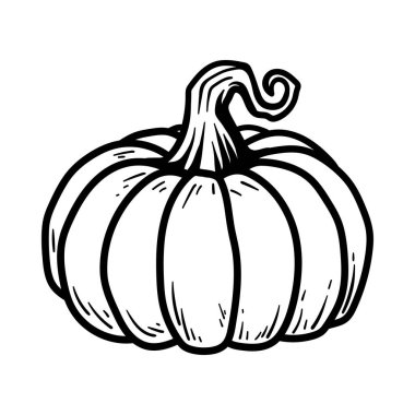 Büyük balkabağı izole çizim çizimi klasik klasik klasik tasarım çizimi çizimi