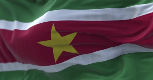 Vista Cerca Bandera Nacional Surinam Ondeando Viento República Surinam Estado — Vídeos de Stock
