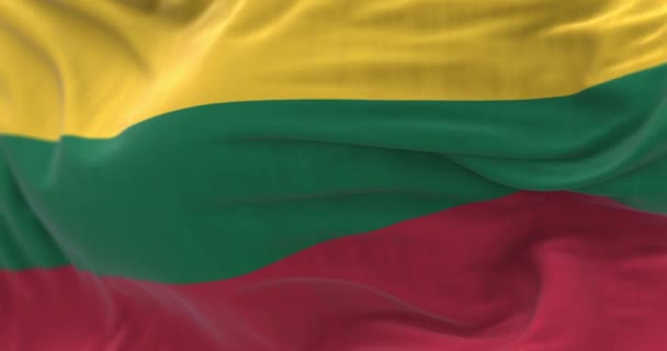 Vue Rapprochée Drapeau National Lituanien Agitant Vent République Lituanie Est — Video