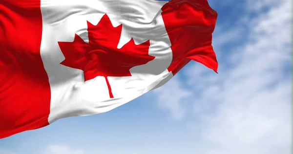 Açık Bir Günde Kanada Ulusal Bayrağı Rüzgarda Dalgalanıyor Kanada Kuzey — Stok fotoğraf