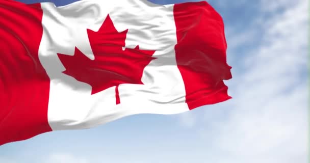 Bandera Nacional Canadá Ondeando Viento Día Despejado Canadá País América — Vídeos de Stock