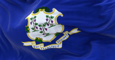 Connecticut eyaletinin rüzgarda dalgalanan bayrağının yakın çekim görüntüsü. Kumaş desenli arka plan. Seçici odaklanma. Yavaş çekimde kusursuz döngü. 3 Boyutlu Hazırlama