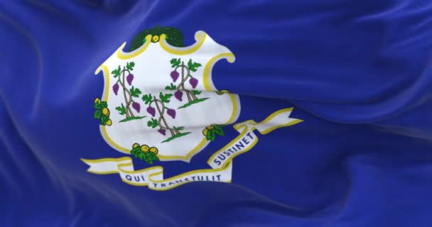 Nahaufnahme Der Flagge Des Bundesstaates Connecticut Die Wind Weht Texturierter — Stockvideo