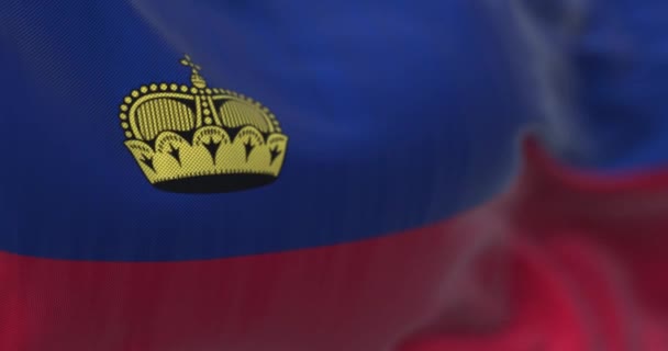 Ulusal Lihtenştayn Bayrağı Dalgalanıyor Lihtenştayn Prensliği Bir Orta Avrupa Devletidir — Stok video