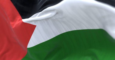 Filistin ulusal bayrağının dalgalanmasına yakından bakın. Filistin Devleti, Batı Asya 'da bulunan bir devlettir. Kumaş desenli arka plan. Seçici odaklanma. 3B illüstrasyon