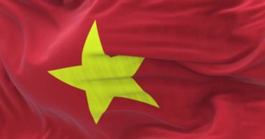 Vietnam ulusal bayrağı rüzgarda sallanıyor. Vietnam Sosyalist Cumhuriyeti, Güneydoğu Asya 'da bir ülkedir. Kumaş desenli arka plan. Seçici odaklanma. Yavaş çekimde kusursuz döngü. 3 Boyutlu Hazırlama