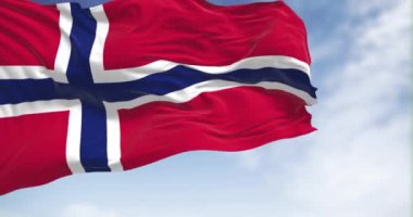 Norveç ulusal bayrağının rüzgarda dalgalanmasını yakından izleyin. Norveç Krallığı Kuzey Avrupa 'da bir İskandinav ülkesidir. Kumaş desenli arka plan. Seçici odaklanma. 3B illüstrasyon