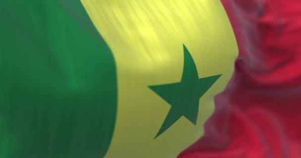 Detalle Bandera Nacional Senegal Ondeando Viento República Senegal País África — Vídeo de stock