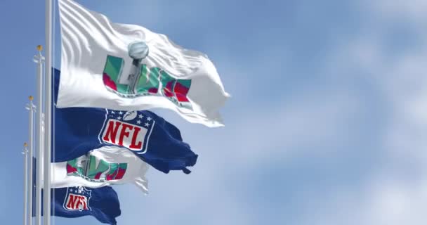Glendale Abd Kasım 2022 Super Bowl Nfl Bayrağı Rüzgarda Sallanıyor — Stok video