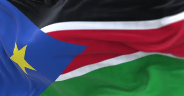 風に揺れる南スーダン国旗の詳細 南スーダン共和国は 中央アフリカの国です 生地の質感の背景 選択的フォーカス スローモーションでシームレスなループ 3Dレンダリング — ストック動画