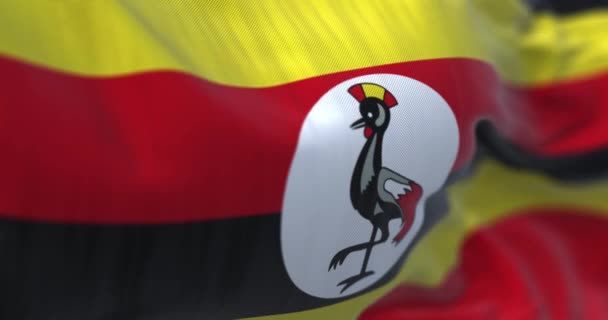 Pohled Zblízka Ugandskou Národní Vlajku Vlnící Větru Ugandská Republika Zemí — Stock video