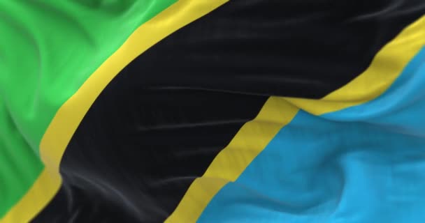 Vista Cerca Bandera Nacional Tanzania Ondeando Viento República Unida Tanzania — Vídeos de Stock