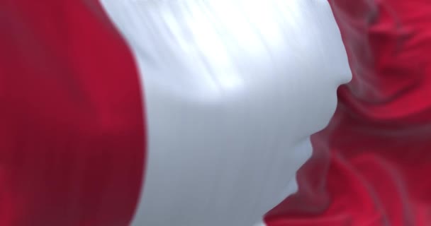 Peru Ulusal Bayrağının Dalgalanmasına Yakından Bakın Peru Cumhuriyeti Güney Amerika — Stok video