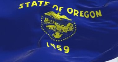 Oregon bayrağının dalgalanmasını yakından izleyin. Kumaş desenli arka plan. Seçici odaklanma. Yavaş çekimde kusursuz döngü. Gerçekçi 3B canlandırma