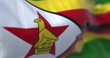 Zimbabwe Cumhuriyeti 'nin rüzgarda dalgalanan ulusal bayrağının yakın plan görüntüsü. Kumaş desenli arka plan. Seçici odaklanma. Yavaş çekimde kusursuz döngü. Gerçekçi 3B canlandırma