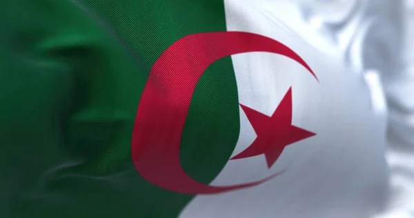 Vista Cerca Bandera Nacional Argelia Ondeando Viento República Democrática Popular — Foto de Stock