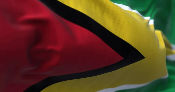 가이아나 국기가 바람에 흔들려 가이아나 협동조합 공화국 Cooperative Republic Guyana — 스톡 사진
