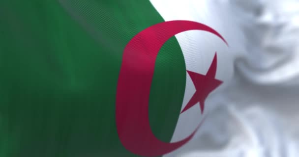 Алжирский Национальный Флаг Размахивает Народно Демократическая Республика Алжир Является Страной — стоковое видео