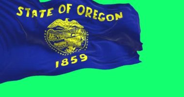 Oregon eyaleti bayrağı dalgalanıyor. Oregon, Batı Amerika Birleşik Devletleri 'nin Pasifik Kuzeybatı bölgesinde bulunan bir eyalettir. Yavaş çekimde kusursuz döngü. Gerçekçi 3D canlandırma. Yeşil ekran mat ve krom tuş