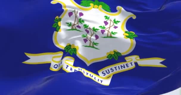 Widok Bliska Flagi Stanu Connecticut Machającej Wietrze Tło Teksturowane Tkaniny — Wideo stockowe