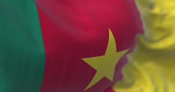 Cameroon National Flag Waving Republic Cameroon Country West Central Africa — Stock Video