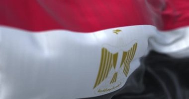 Mısır ulusal bayrağı dalgalanıyor. Mısır Arap Cumhuriyeti, Afrika kıtasında bulunan bir ülkedir. Kumaş desenli arka plan. Seçici odaklanma. Yavaş çekimde kusursuz döngü. Gerçekçi 3B canlandırma