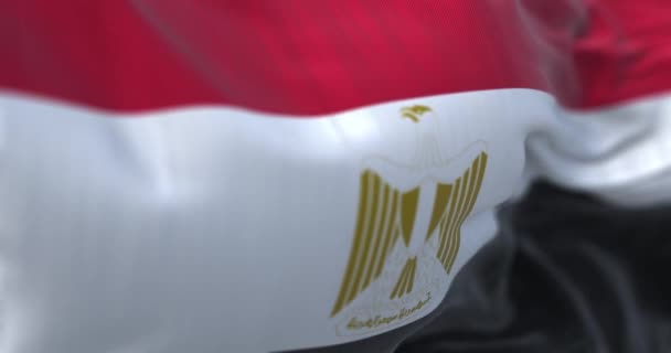 Bandeira Nacional Egito Acenando República Árabe Egito País Localizado Nordeste — Vídeo de Stock