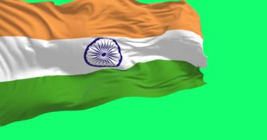 Yeşil arka planda izole edilmiş Hindistan bayrağı dalgalanıyor. Hindistan Cumhuriyeti Güney Asya 'da bir ülkedir. Gerçekçi 3D canlandırma. Yeşil ekran mat ve krom anahtar. Yavaş çekim döngüsü